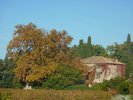 référence n° 148188431 : Sablet - vente maison vaucluse sablet