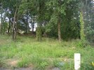 référence n° 183242629 : Saumur - PROCHE SAUMUR JOLIE PARCELLE DE TERRAIN A BATIR.