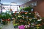référence n° 28715935 : Bracieux - local commercial en trés bon état sur la commune de Bra...